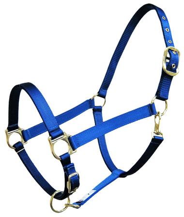 Nylon Halter BLUE