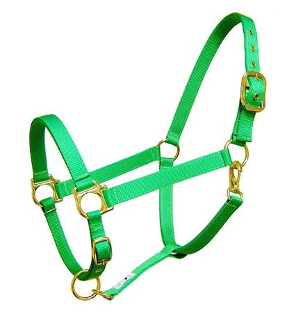 Nylon Halter LIME