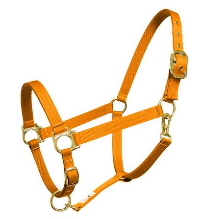 Nylon Halter ORANGE