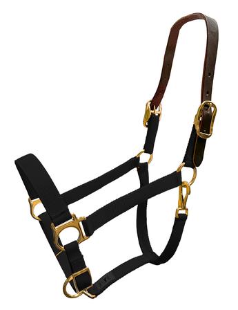 Nylon Breakaway Halter BLACK