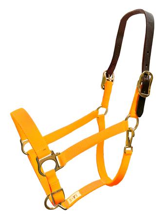 Nylon Breakaway Halter ORANGE