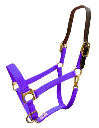 Nylon Breakaway Halter PURPLE