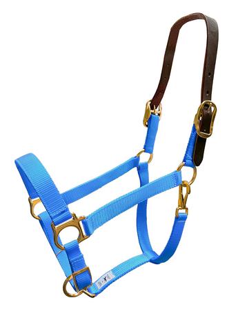 Nylon Breakaway Halter TURQ