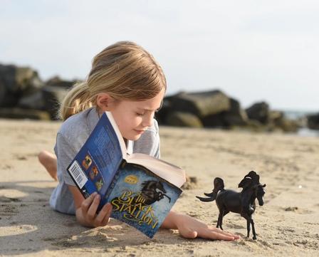 The Black Stallion Horse and Book Set