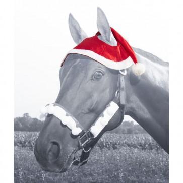 Santa Horse Hat