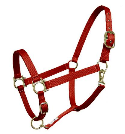 Nylon Halter - Draft BURGUNDY