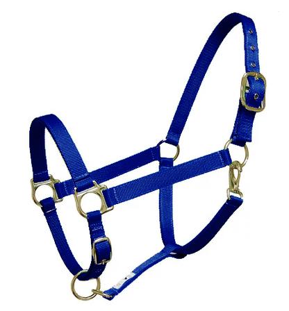 Nylon Halter - Draft ROYAL