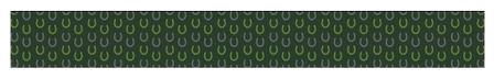 C4 Graphic Belt with Standard Buckle HORSESHOES_FOREST