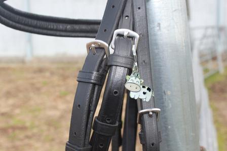 Cow Bridle Charm