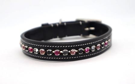 Blackberry Dog Collar BLACK