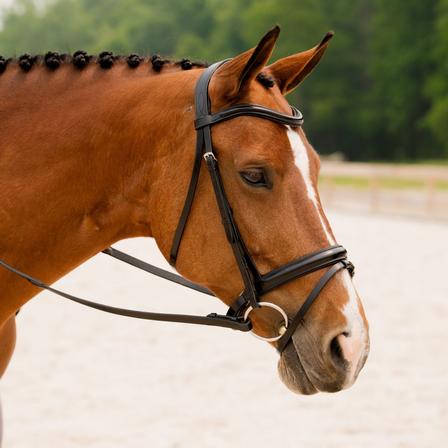 Elevation Bridle with Crank & Flash BLACK