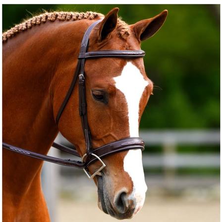 Tupelo Hunter Bridle with Reins