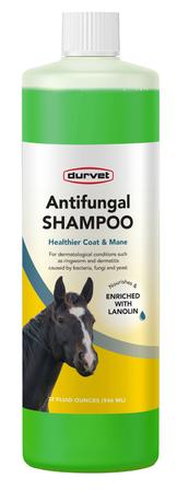 Antifungal Shampoo