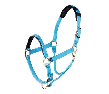 Topaz Breakaway Nylon Halter BLUE