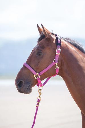 Topaz Breakaway Nylon Halter 