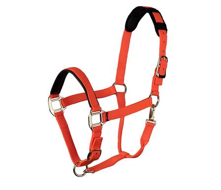 Topaz Breakaway Nylon Halter ORANGE