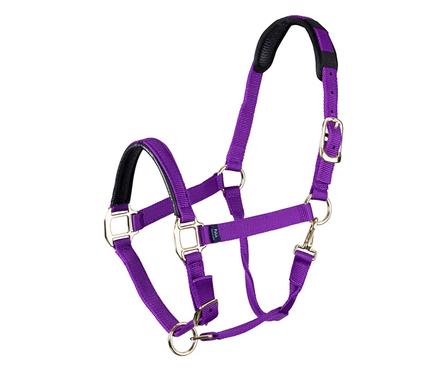 Topaz Breakaway Nylon Halter PURPLE