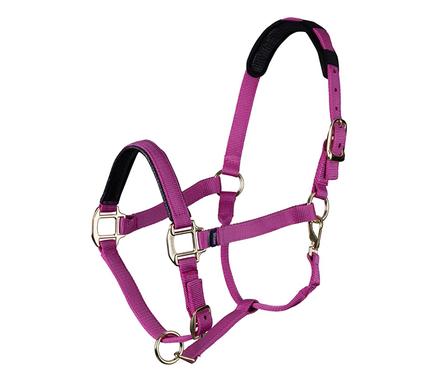 Topaz Breakaway Nylon Halter RASPBERRY