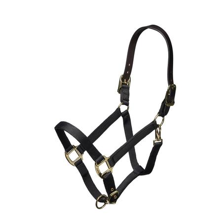 Nylon Breakaway Halter BLACK