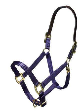 Nylon Breakaway Halter NAVY