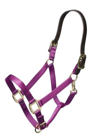 Nylon Breakaway Halter PURPLE