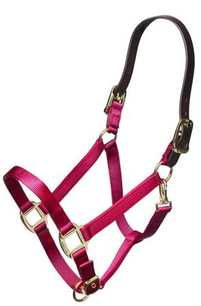 Nylon Breakaway Halter RASPBERRY