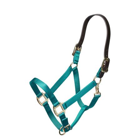 Nylon Breakaway Halter TEAL