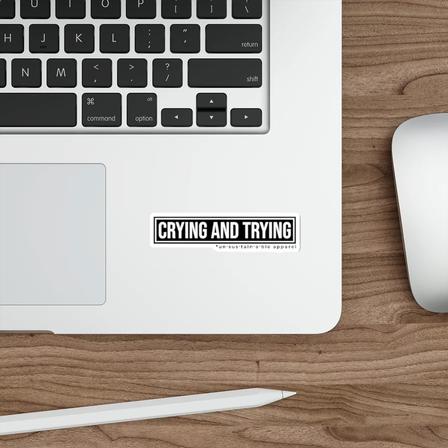 Vinyl Decal - Crying and Trying