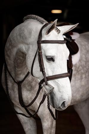 Stitched Hunter Bridle with Laced Reins