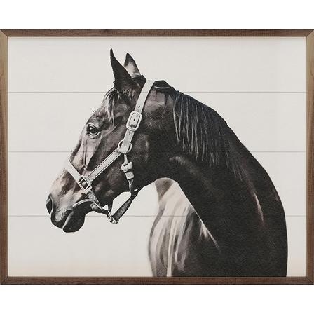 Beauty of the Horse | Wall Decor