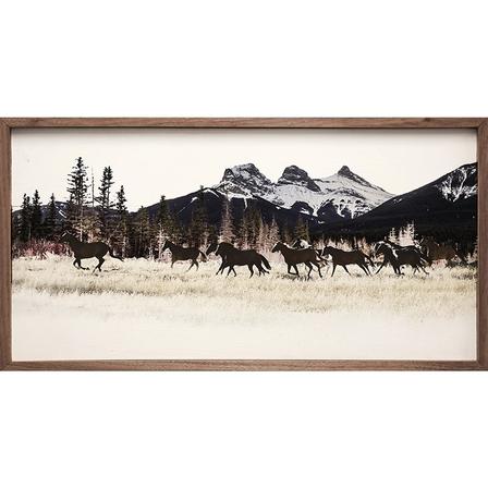 Running Horses | Wall Decor