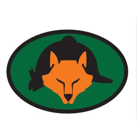 EURO Orange Fox & Helmet Decal