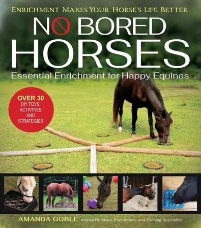 No Bored Horses Book