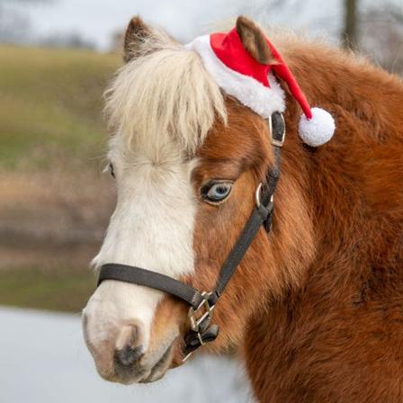 One Ear Santa Hat - Mini Size