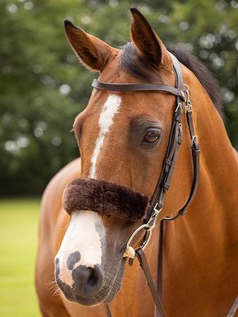 Simuwool Noseband Cover