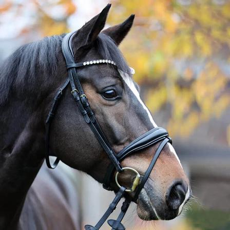 Juliana Bridle with Reins BLACK/BLACK