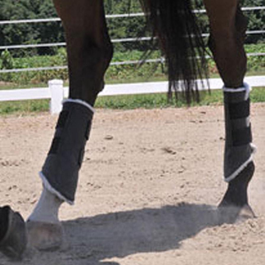 hind boots horse