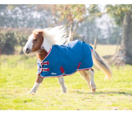 Shires Miniature Summer Highlander TEAL