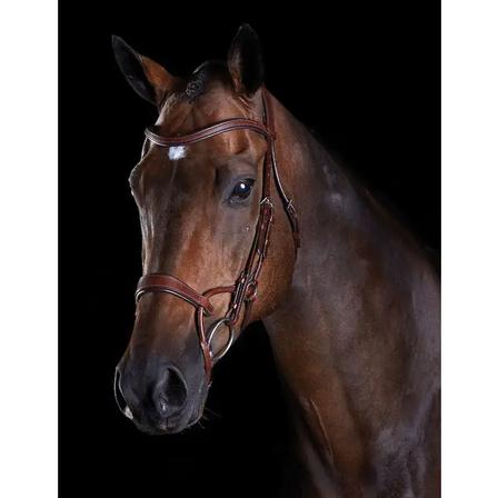 Collegiate Comfitec Training Bridle BROWN