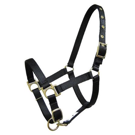 Nylon Mini Halter with Adjustable Nose and Snap BLACK