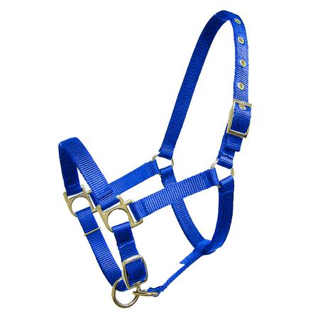 Nylon Mini Halter with Adjustable Nose and Snap BLUE