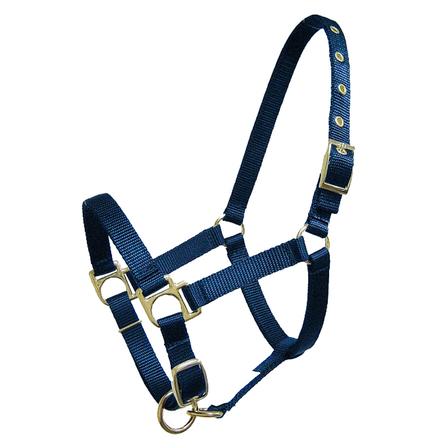 Nylon Mini Halter with Adjustable Nose and Snap NAVY