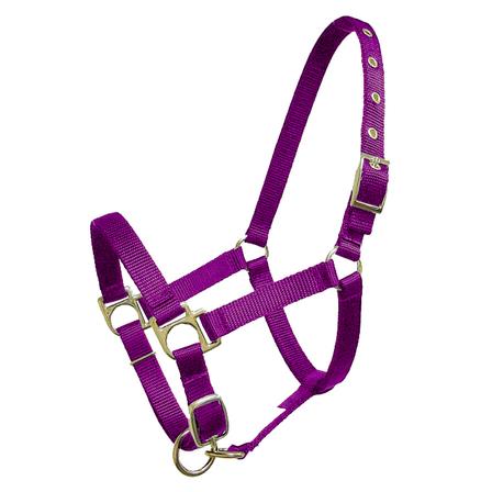 Nylon Mini Halter with Adjustable Nose and Snap PURPLE