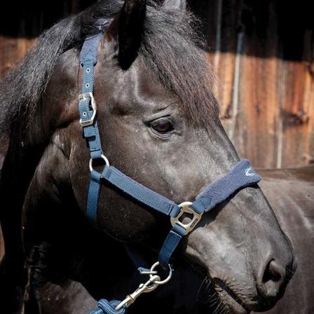 Fleece Breakaway Halter