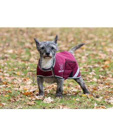 Digby & Fox Waterproof Dog Coat BURGUNDY