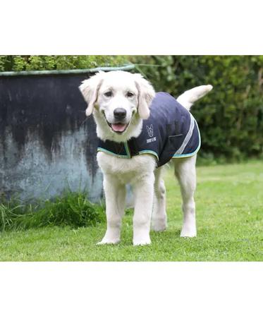 Digby & Fox Waterproof Dog Coat GRAY