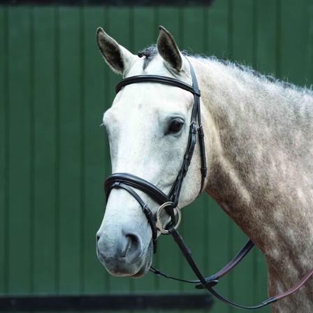 Essential Padded Raised Flash Bridle BLACK