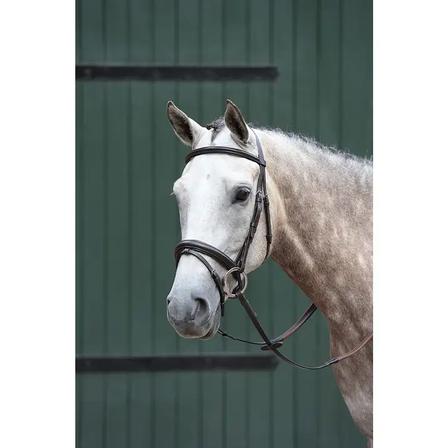 Essential Padded Raised Flash Bridle BROWN